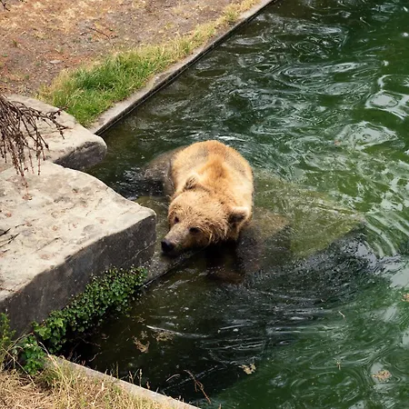 One - Zollhaus Aparthotel 4*