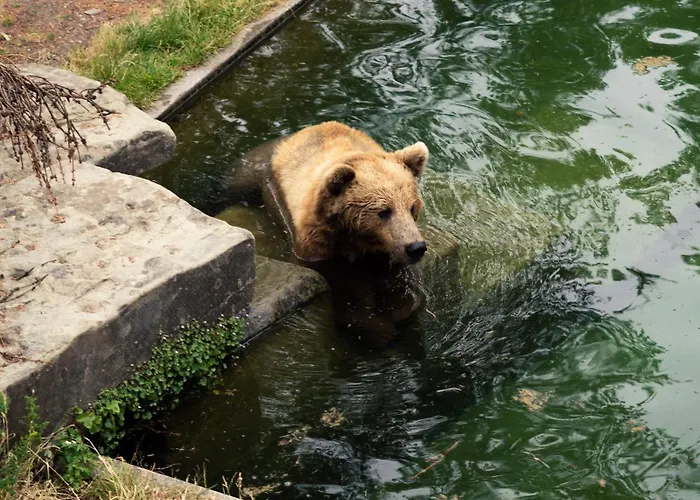 Aparthotel One - Zollhaus Bern