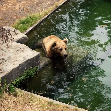 Apartahotel One - Zollhaus Berna
