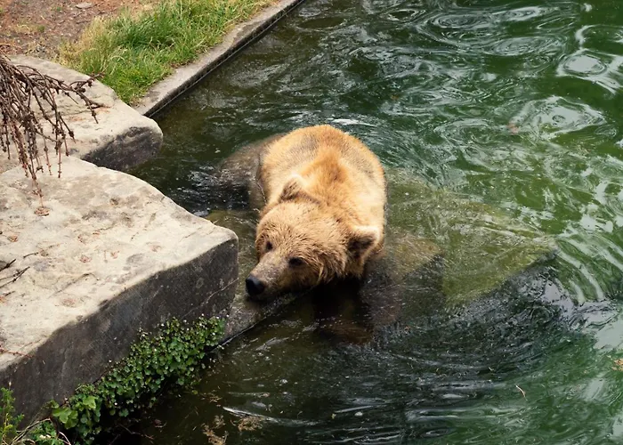 One - Zollhaus Apartahotel 4*